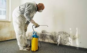 Mold Documentation for Insurance Claims in Laguna Woods, CA